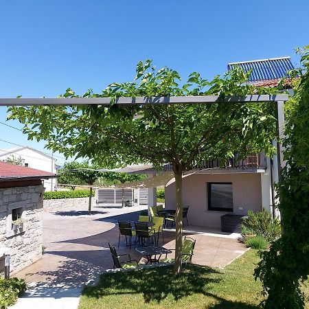 Guesthouse Pri Mihelovih Сезана Экстерьер фото