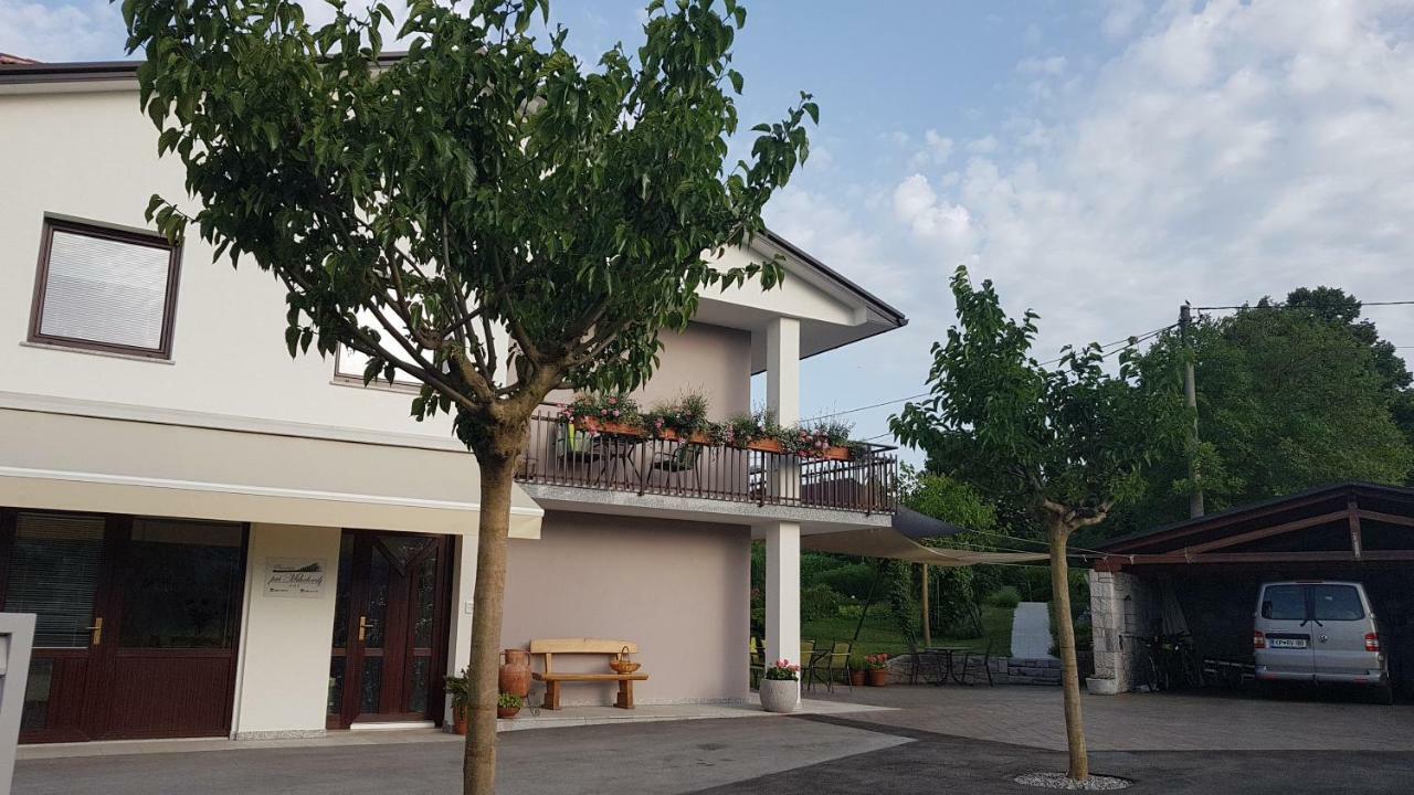 Guesthouse Pri Mihelovih Сезана Экстерьер фото